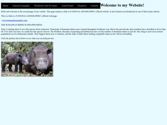 page2 screenshot