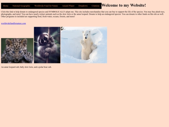 page3 screenshot