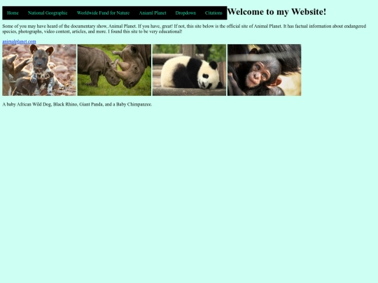 page4 screenshot