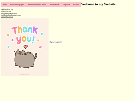 page5 screenshot