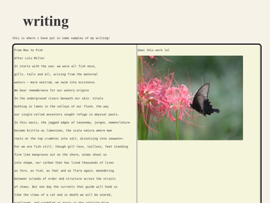 writing screenshot