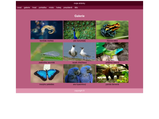 galerie screenshot