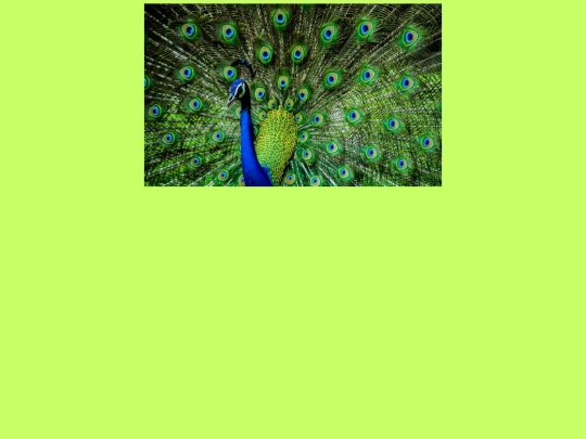 páv screenshot