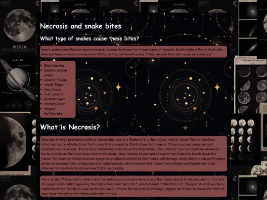 interests screenshot