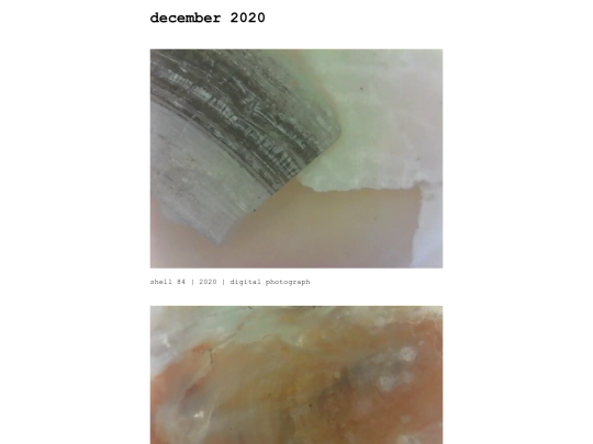 zz_dec20 screenshot