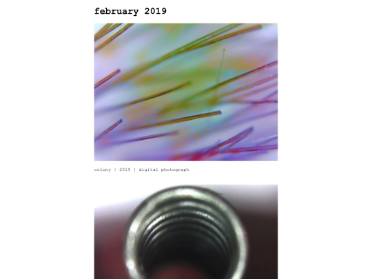 zz_feb19 screenshot