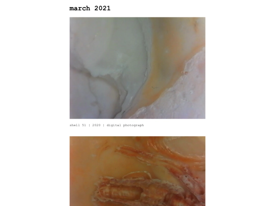 zz_feb21 screenshot