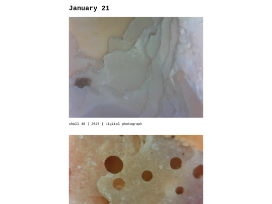 zz_jan21 screenshot