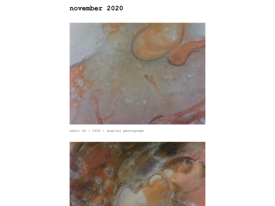 zz_nov20 screenshot