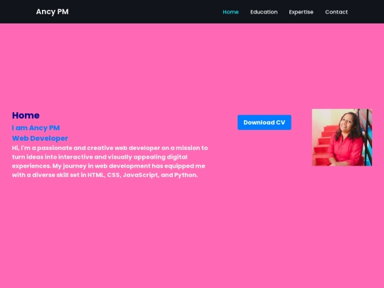AncyPMportfolio screenshot