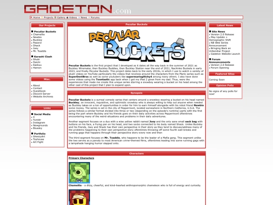 projects_peculiar_buckets screenshot