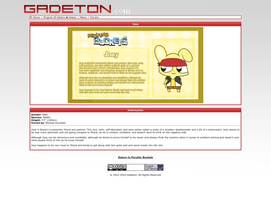 projects_peculiar_buckets_joey screenshot