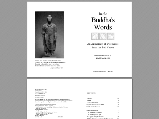In-the-Buddhas-Words screenshot