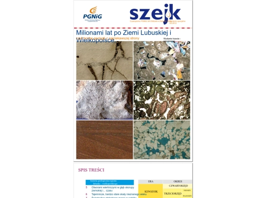 szejk/45020b2a-b271-11ea-8b25-0cc47a792c0a_id_45020b2a-b271-11ea-8b25-0cc47a792c0a screenshot