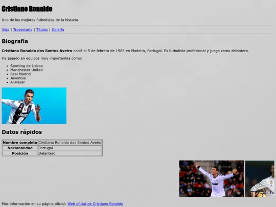 proyecto screenshot