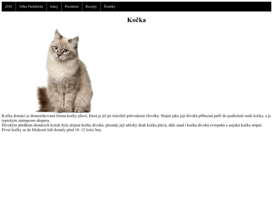 Kočka screenshot