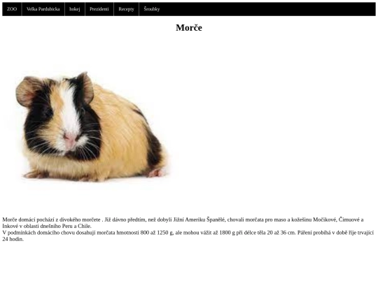 Morče screenshot