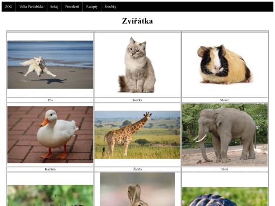 Zviratka screenshot