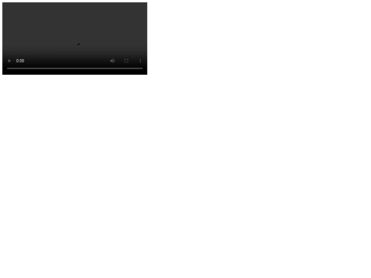 insercion de video screenshot
