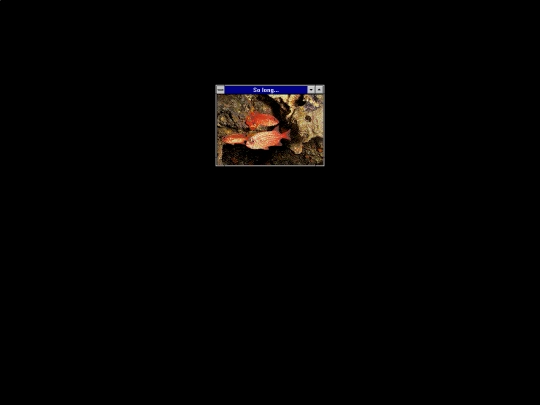 gymno/gymnopedie screenshot