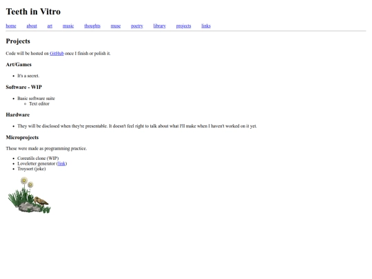 projects screenshot