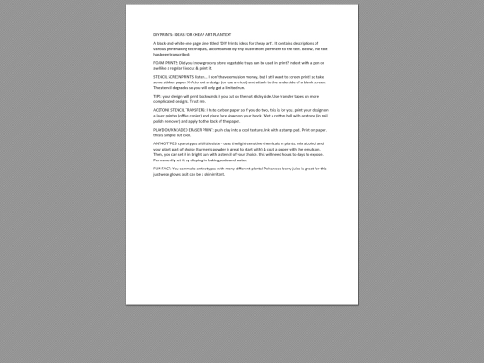 plaintexts/DIY-PRINTS-plaintext screenshot
