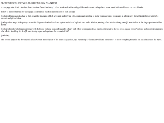 plaintexts/kaminsky plaintext screenshot