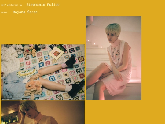 stephaniepulidoeditorial screenshot