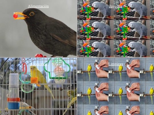 Gopets/aves screenshot