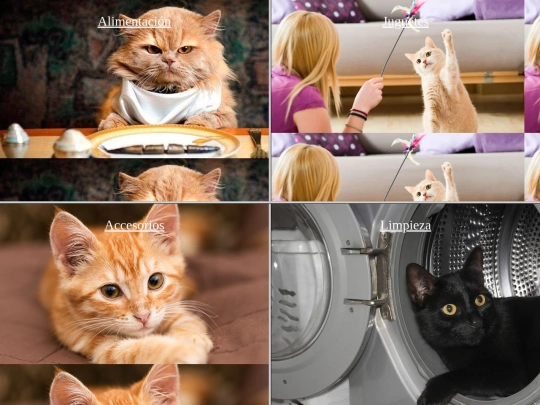 Gopets/gatos screenshot