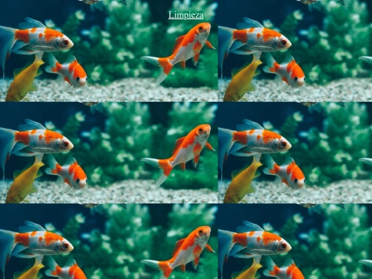 Gopets/pelimpieza screenshot