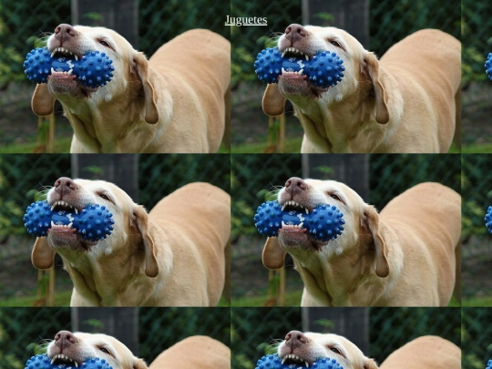 Gopets/pjuguetes screenshot