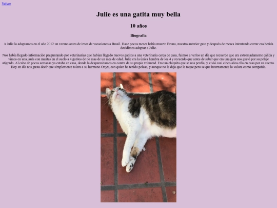 Julie screenshot