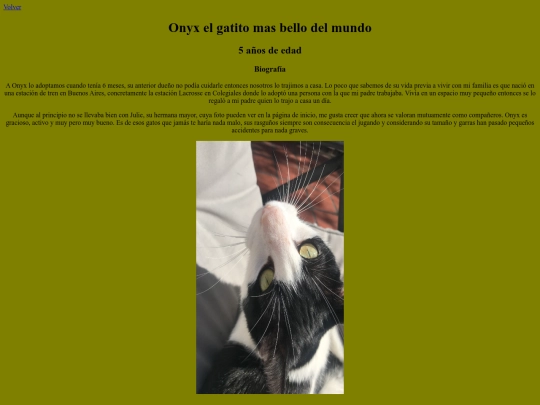 Onyx screenshot