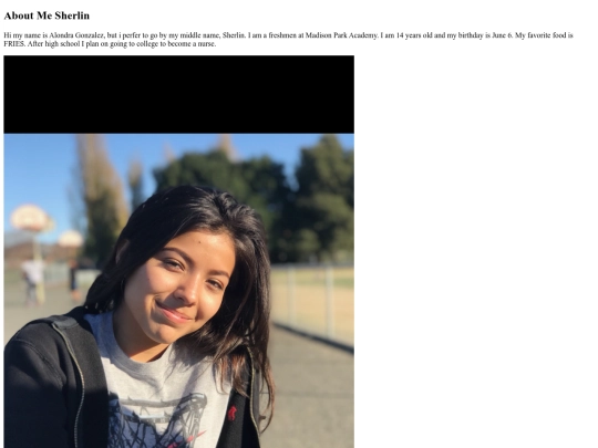 Portfolio/about screenshot
