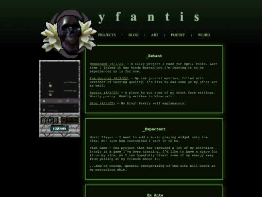 projects screenshot