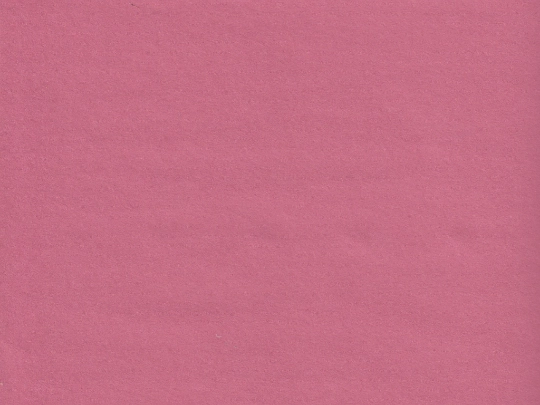 Portfolio screenshot