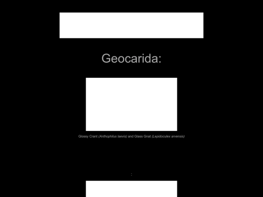 arthropoda/geocarida screenshot