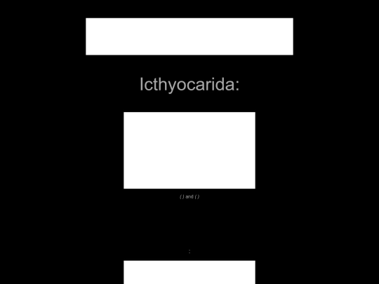 arthropoda/icthyocarida screenshot