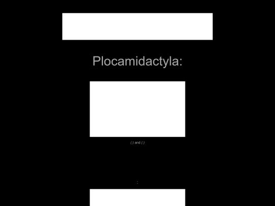 arthropoda/plocamidactyla screenshot