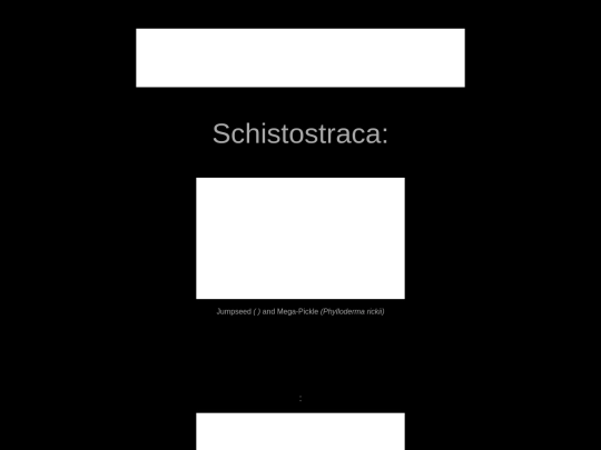 arthropoda/schistostraca screenshot