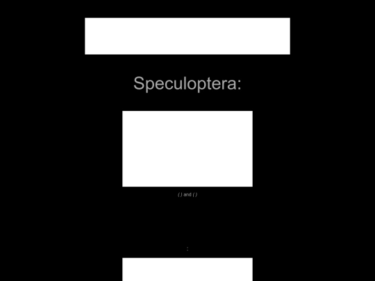 arthropoda/speculoptera screenshot