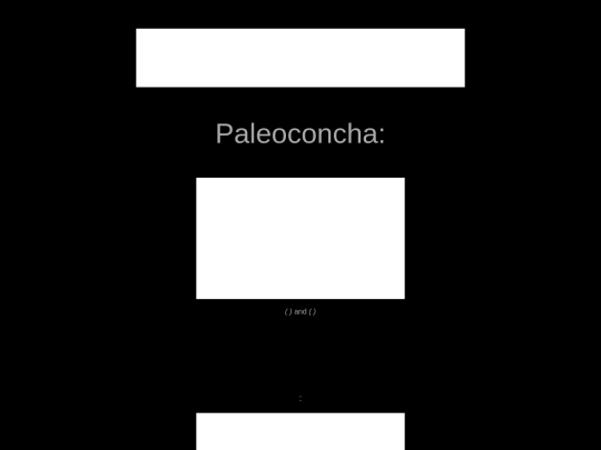 mollusca/paleoconcha screenshot
