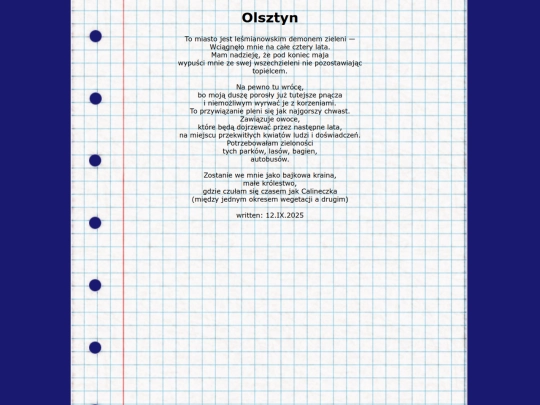 olsztyn screenshot