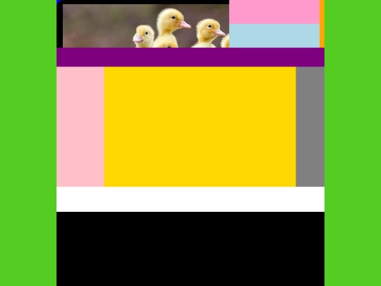 web screenshot
