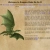 Dragons Made Me Do It: A Pern Podcast avatar