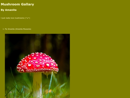 first/mushroom screenshot