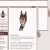 laurencelane.neocities.org avatar