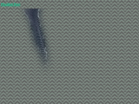 visual screenshot