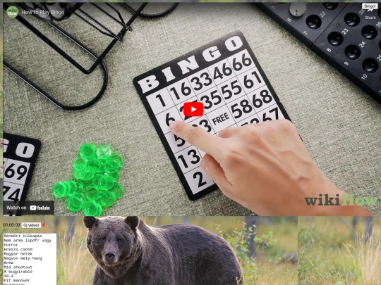 bingo screenshot